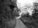 Path